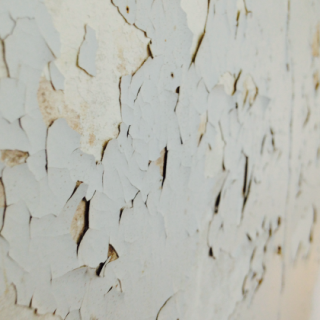 Analyse de plomb total